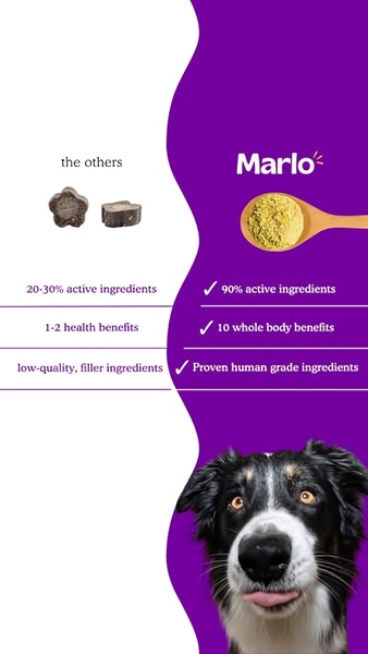 A vertical 9:16 comparison graphic highlighting the disparity in ingredient quality and health benefits between a standard dog supplement and the brand's product.